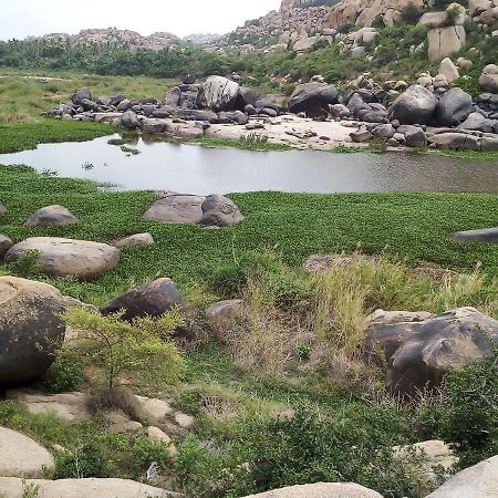 Riverside Homestay Hampi Εξωτερικό φωτογραφία