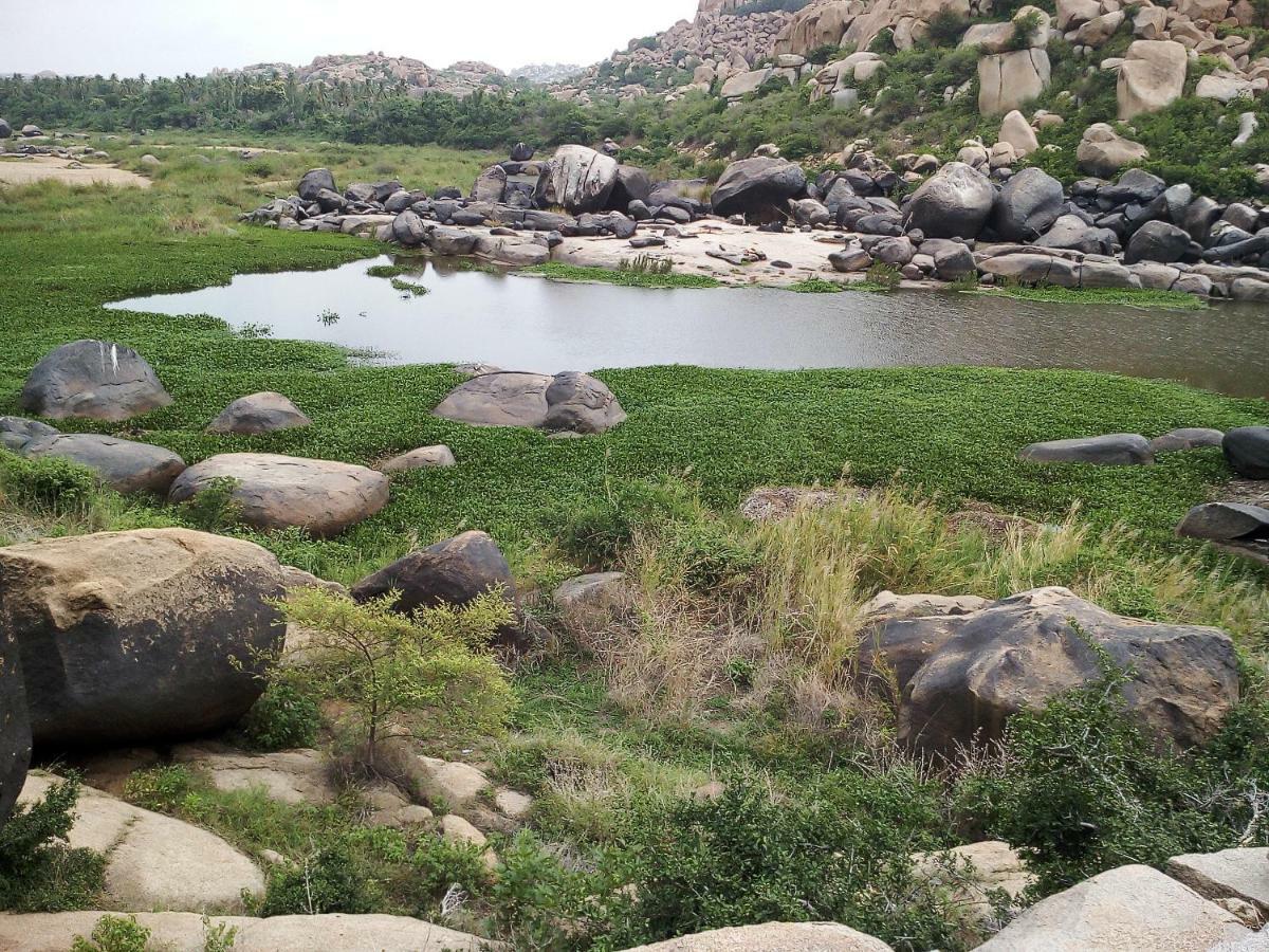 Riverside Homestay Hampi Εξωτερικό φωτογραφία